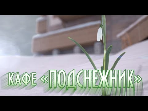 Алушта. Крым. Кафе "Подснежник"