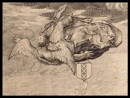shot angel falling from sky