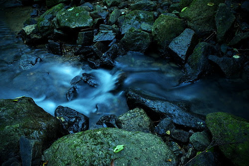 _DSC0226