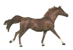 animated-horse-image-0063
