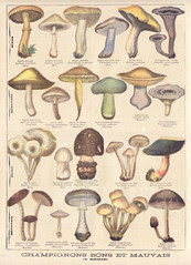 ptitjournal 1nov 96b