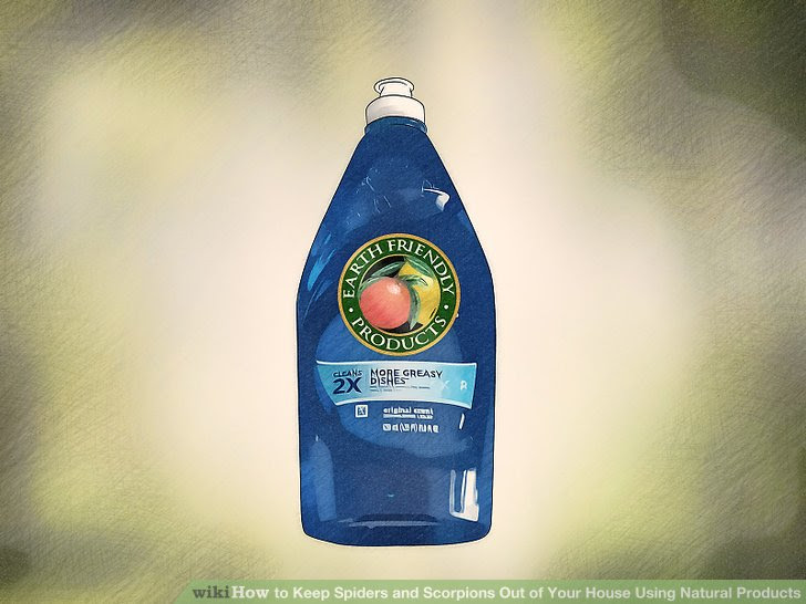 Keep Spiders and Scorpions Out of Your House Using Natural Products Step 5.jpg