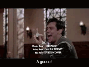 I Got You A Gif Jim Carrey Bloopers Liar Liar Bigtopapps