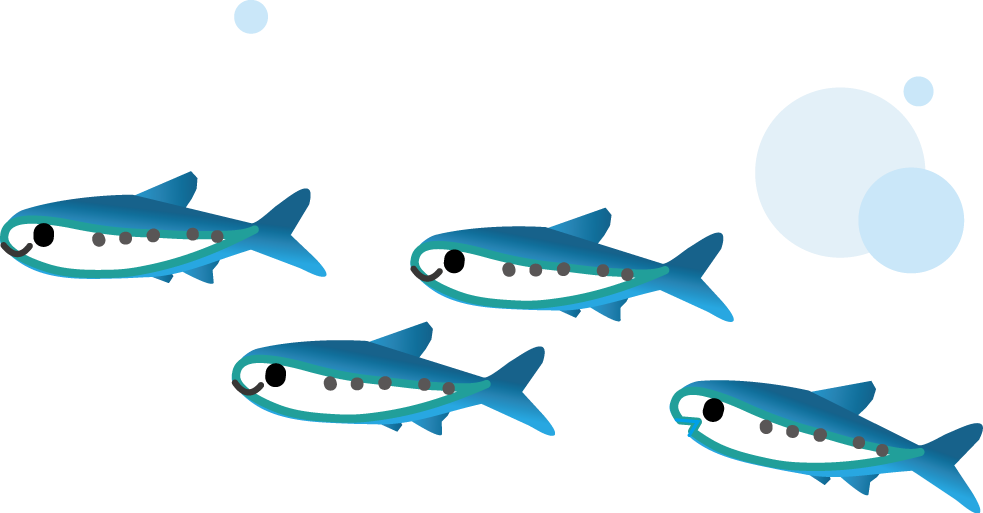 最高の動物画像 ユニークお魚 イラスト かわいい