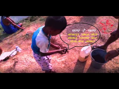 चित्र