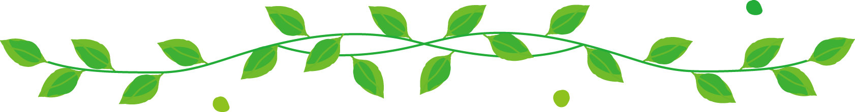 イラスト飾り線 ライン 無料イラスト フリー素材