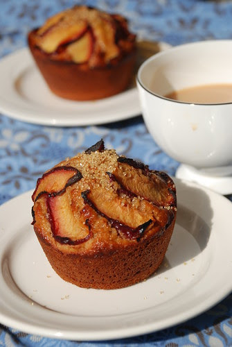 Yogurt Plum Muffins