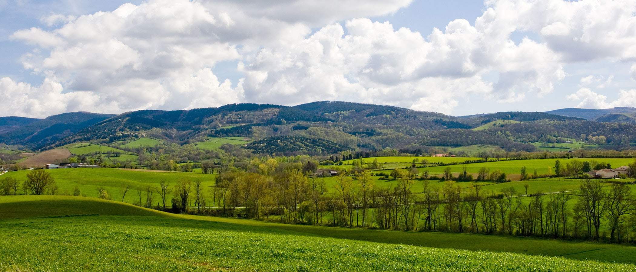 Une montagne noire d histoire Tarn Tourisme Une montagne noire d histoire Tarn Tourisme