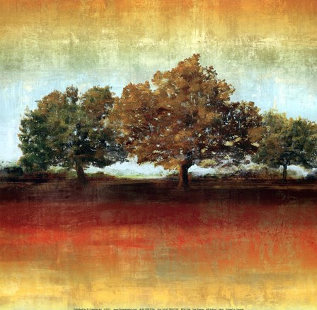 All Aglow I Mini Fine Art Print By Tom Reeves At Fulcrumgallery ...