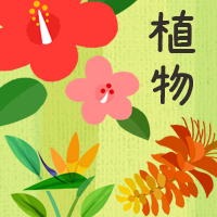 沖縄のかわいい無料素材 イラスト沖縄 おきなわ