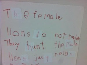 Lion Writing