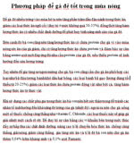 Phương pháp để gà đẻ tốt trong mùa nóng 