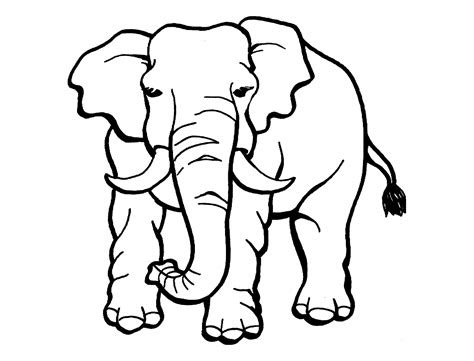 Free printable elephant coloring pages for kids to print and color. elephants to print for free elephants kids coloring pages