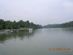 MacRitchie05