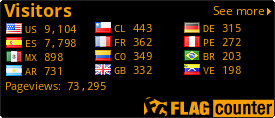 Flag Counter