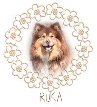  photo ruka_VALMIS_zpsfvoodmzd.jpg
