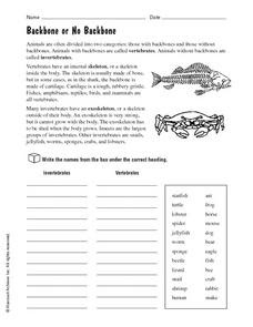 Vertebrates and Invertebrates: Backbone or No Backbone ...