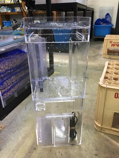 中古小型アクリルオーバーフロー水槽 入荷情報ブログ アクアヒス 熱帯魚 爬虫類 水槽 中古器具