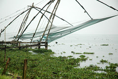 Chinese nets1