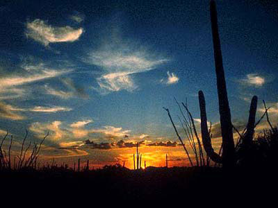 tucson