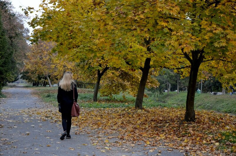 осень 2013
