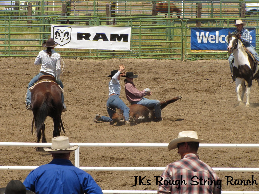 Kings River Gals~Ranch Doctoring