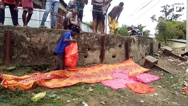Villagers encounter snakes in LOVE, cover them with saris to give them privacy (photos, video)