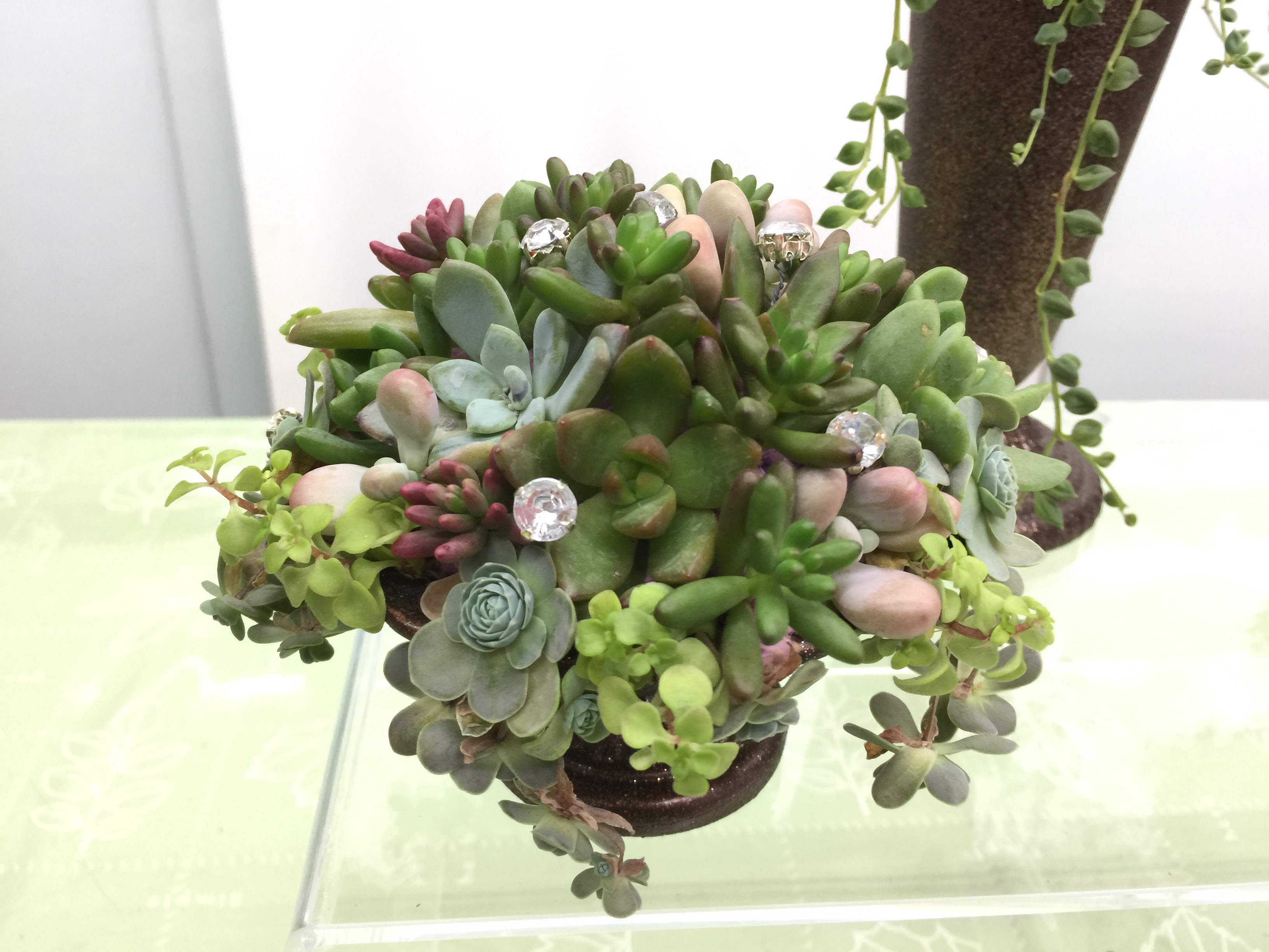 土を使わない多肉植物の寄せ植え プランツギャザリング寄せ植え教室をお探しの方へ愛知岐阜など全国からお越しいただいています
