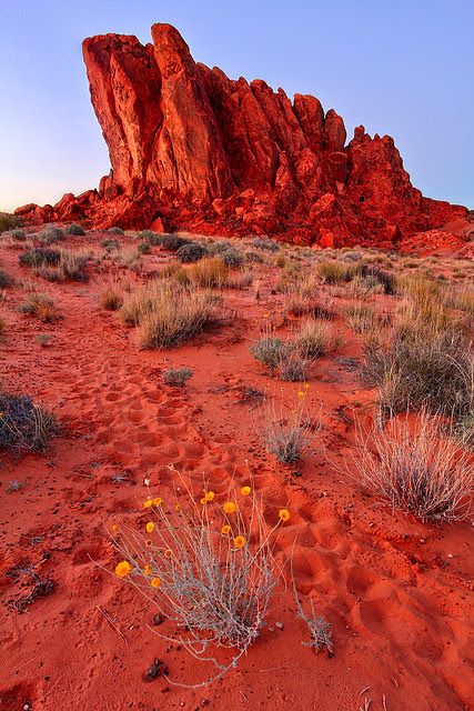 Big Butte at Dusk