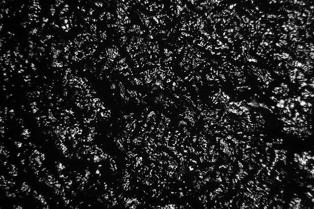 willamette river, ultraviolet