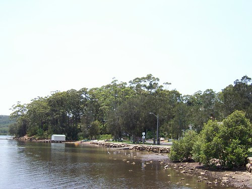 Centennial Avenue Reserve Saratoga