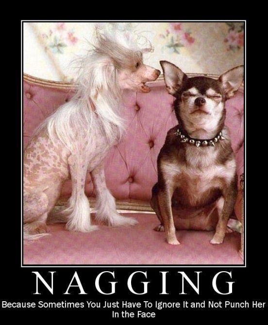 Title Nag Meme By Jdub1989 Memedroid