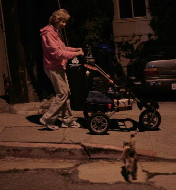 Quintuplet Stroller