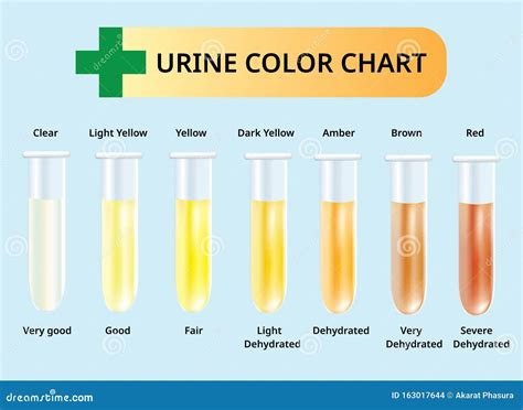 urine color chart urine in test tubes medical vector stock vector