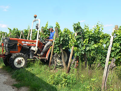 tracteur.jpg