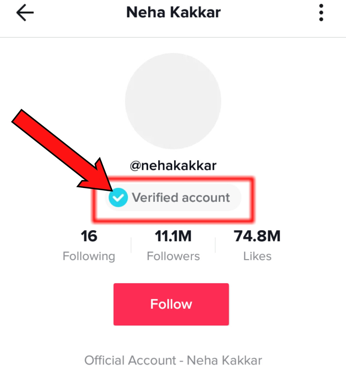 Tiktok Verified Badge How To Get Verified On Tiktok Verified Badge