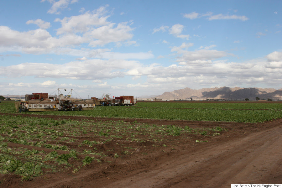 harvesting