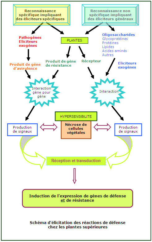 A2D - Adjuvants, engrais foliaires… et des conseils ...