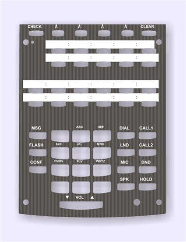 31 Desi Phone Label Template - Labels Information List