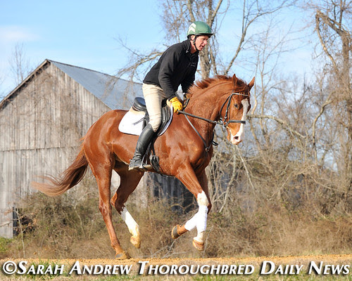Retired Racehorse Training Project’s 100 Day Thoroughbred Challenge: Steuart Pittman
