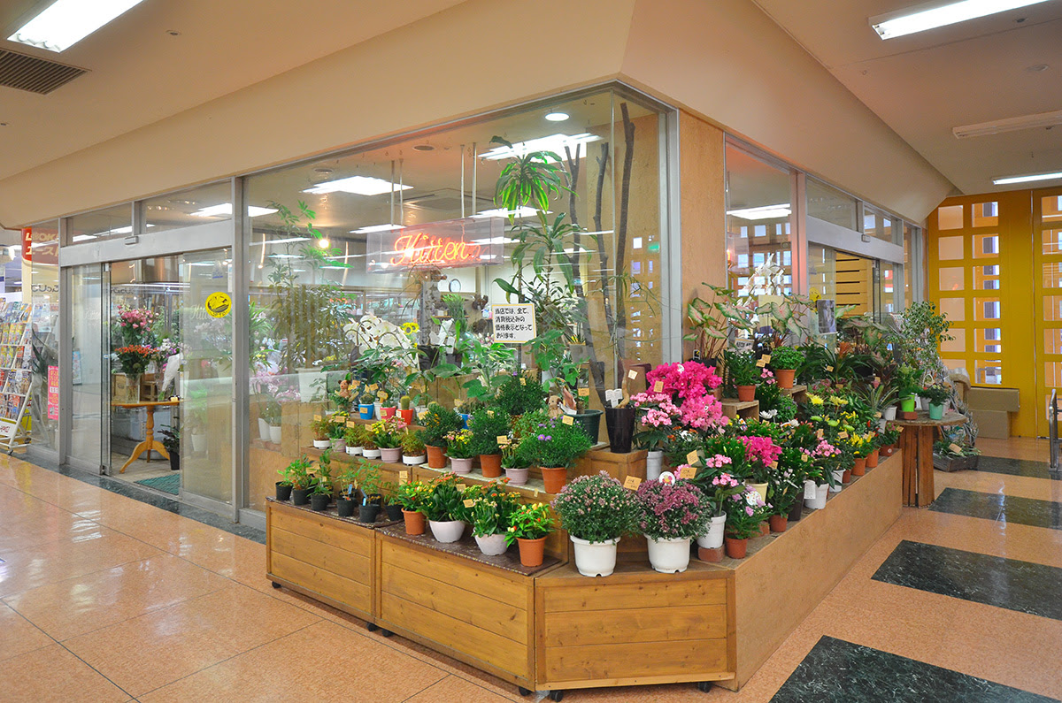アピタ松任店 Kitten キットン 花のむらまつ 村松如矢商店
