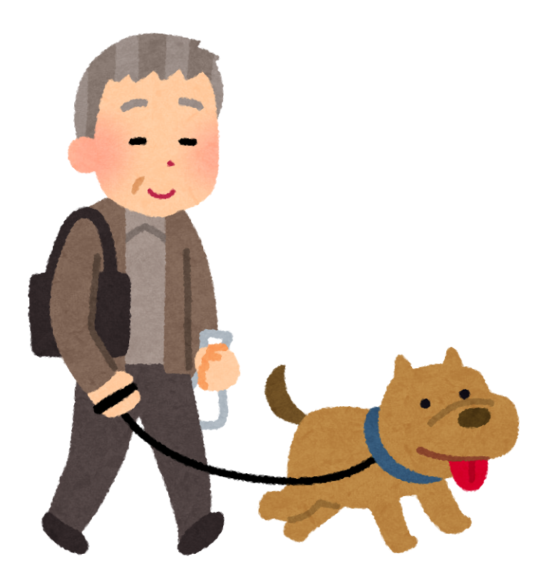 老犬になったら散歩はどうすればいいの