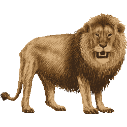 リアルタッチらいおん No 1 リアルライオンのイラスト アイコン 条件付フリー素材集 スマホなど携帯電話対応