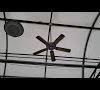 Ceiling Fan Air Freshener       / Vip Room Fan Air Freshener Dispenser Aromatherapy ... / We did not find results for: