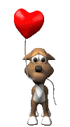 Perro