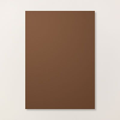 Early Espresso A4 Card Stock