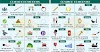 Homonym: Extensive List of 300+ Homonyms with Examples
