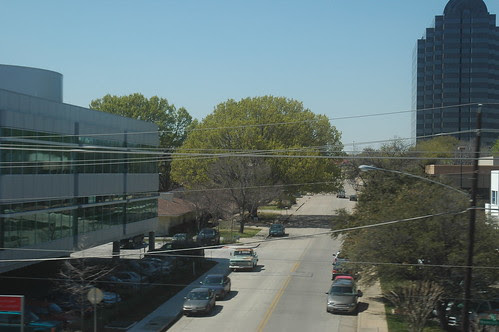 Old Oak Trees on Glen Lakes Drive