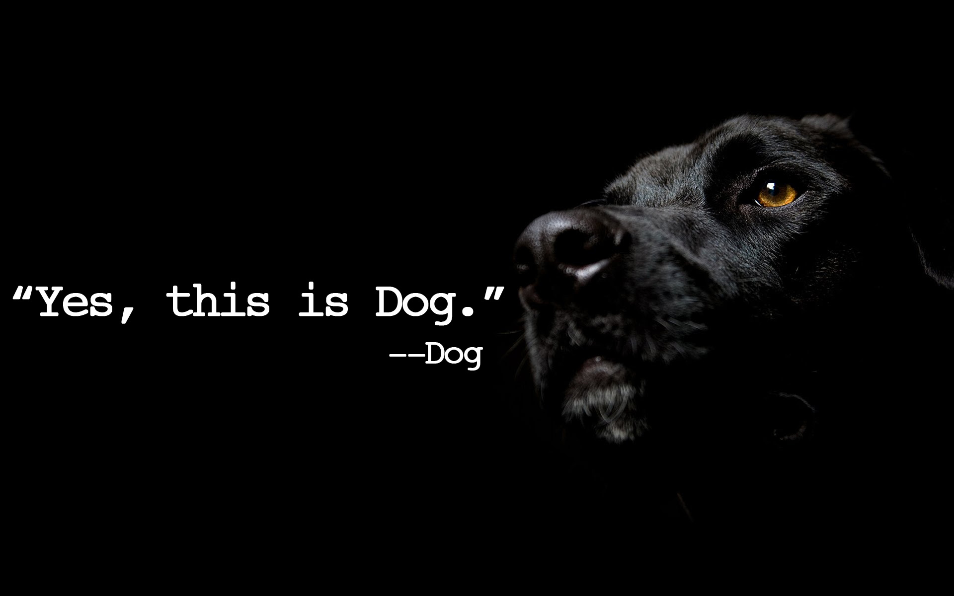 Inspirational quote of the day.
