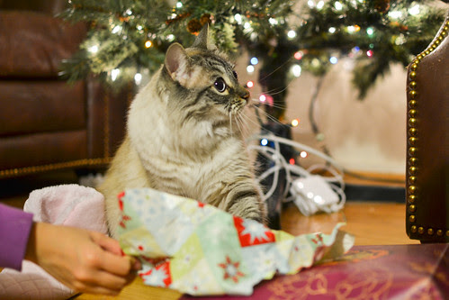 20121224-DSC_1794